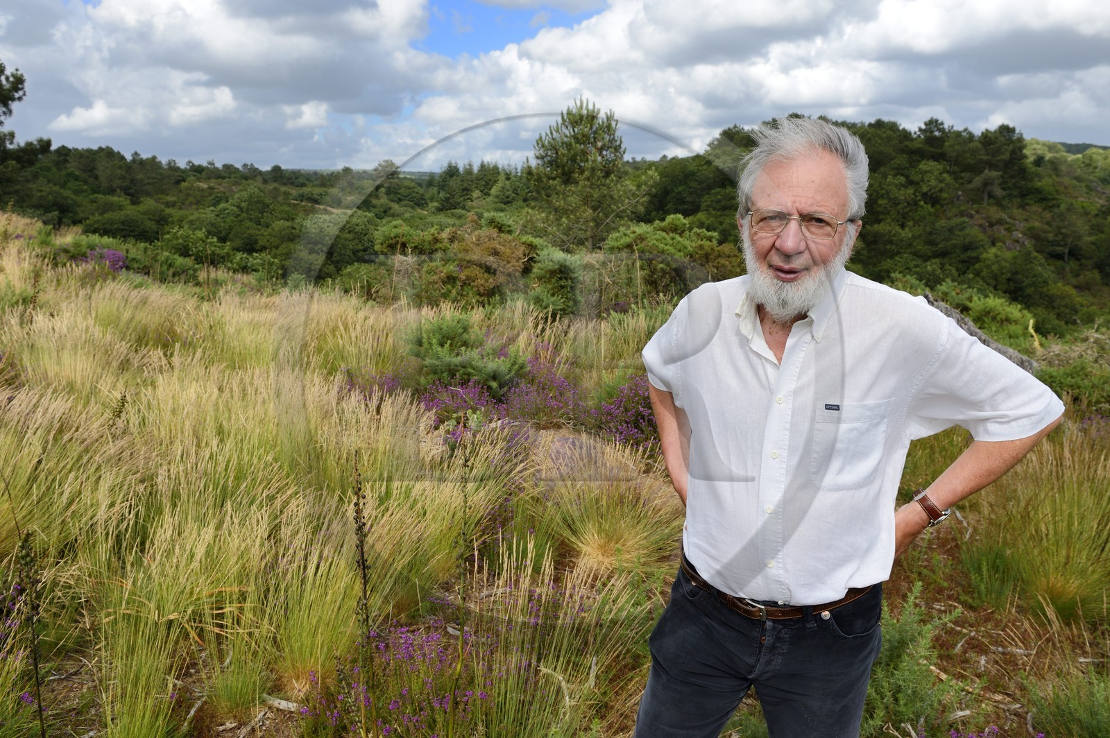 France, Morbihan (56), forêt de Brocéliande, Tréhorenteuc, l'écrivain et conteur Jacky Ealet