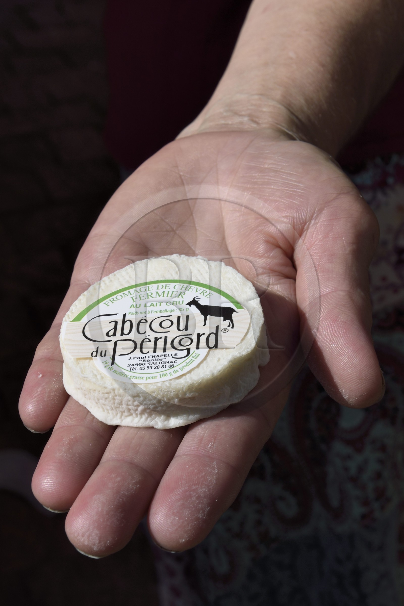 France, Dordogne (24), Périgord Noir, vallée de la Dordogne, Sarlat-la-Canéda, jour de marché, Cabécou de Périgord