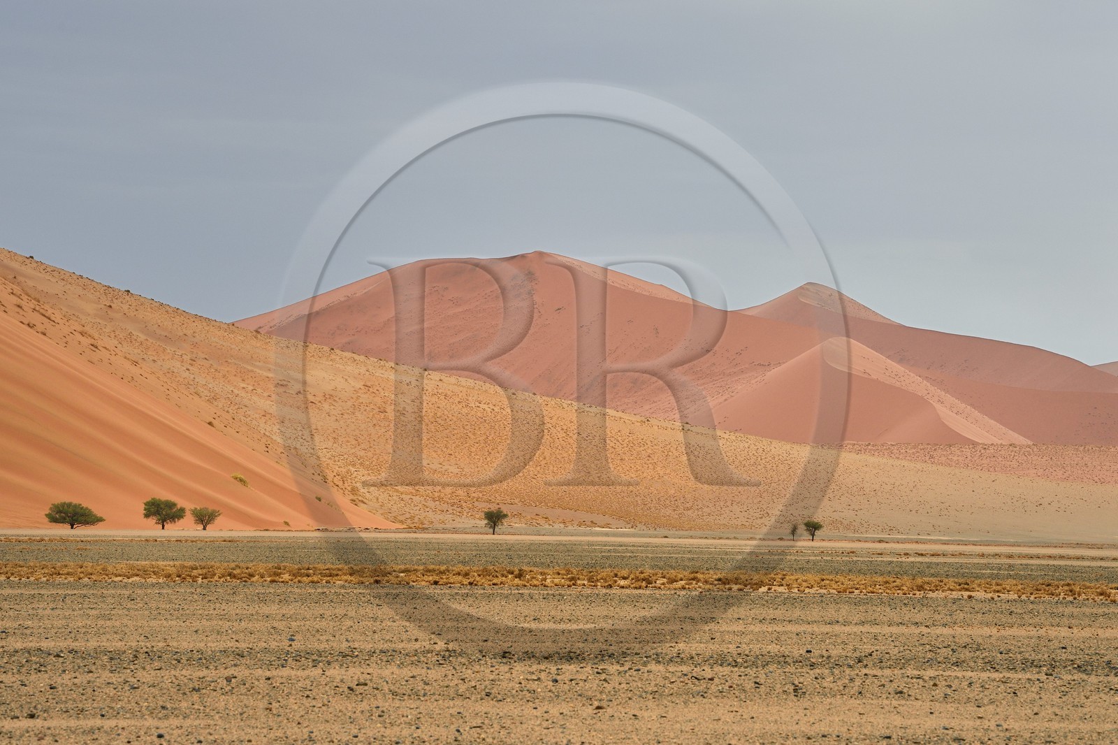 Namibie, région d'Hardap, désert du Namib, parc national du Namib-Naukluft, Erg du Namib classé Patrimoine Mondial de l'UNESCO, dunes de Sossusvlei