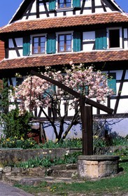 France, Bas-Rhin (67), Hunspach, labellisé Les Plus Beaux Villages de France, maison alsacienne traditionnelle à colombage