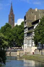 France, Bas-Rhin (67), Strasbourg, vieille ville classée au Patrimoine Mondial de l'UNESCO, quartier de la Petite France, le pont du Faisan et quai de la Petite France sur un bras de l'Ill, la cathédrale Notre Dame en arrière plan