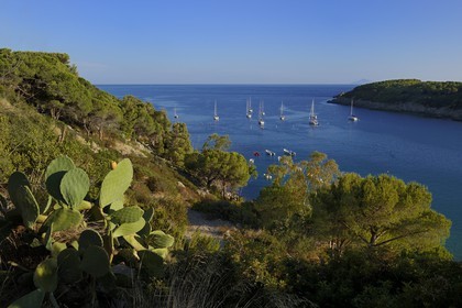 Italy, Tuscany, Elba Island, sailboat at anchor in the bay of Fetovaia on the South coast