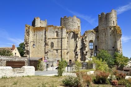 France, Allier (03), former province of Bourbonnais, the 13th century Bourbon l'Archambault castle
