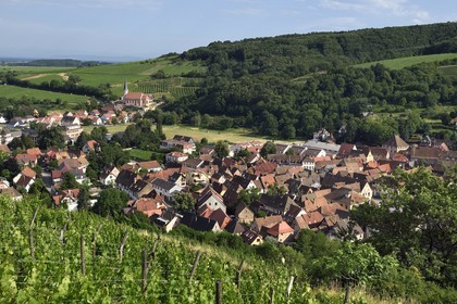 France, Bas Rhin, the Alsace Wine Route, Andlau, point of view on the village and the chapel Saint-André on the edge of the vineyard