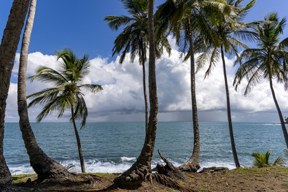 France, Guyane, Kourou, Iles du Salut, l'Ile Royale, arrivée d'une tempête en arrière plan