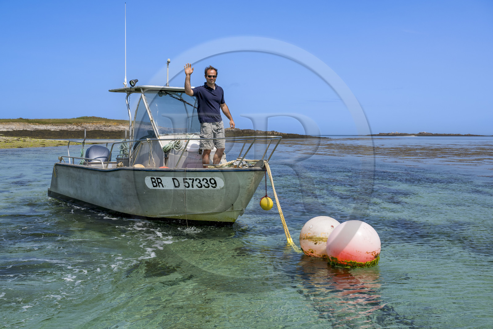 France, Finistère (29), Mer d'Iroise, archipel de Molène, Ile de Quéménès, ferme de Quéménès bio et autonome en énergie, l'agriculteur Etienne Menguy