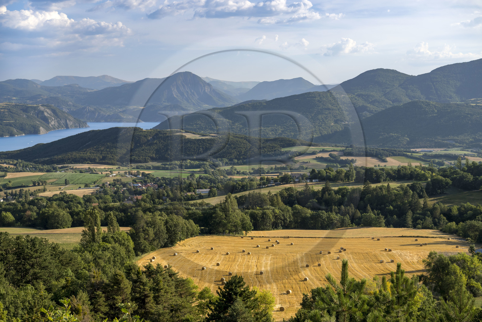 France, Hautes Alpes (05), Prunières, les pentes cultivées au Nord du lac de Serre-Ponçon
