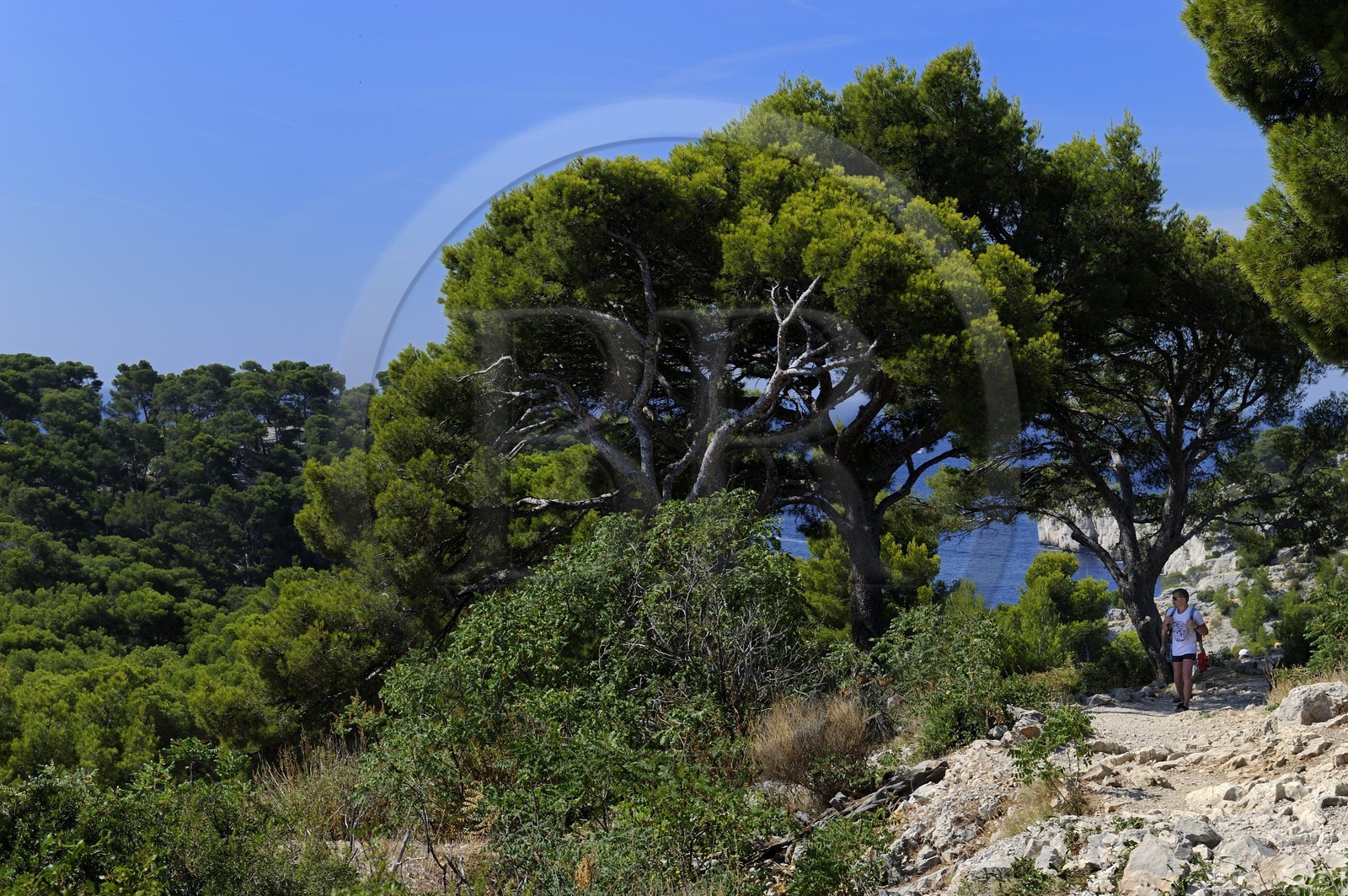 France, Bouches-du-Rhône (13), Cassis, presqu'île de Port Miou France, Bouches-du-Rhône (13), Cassis, presqu'île de Port Miou