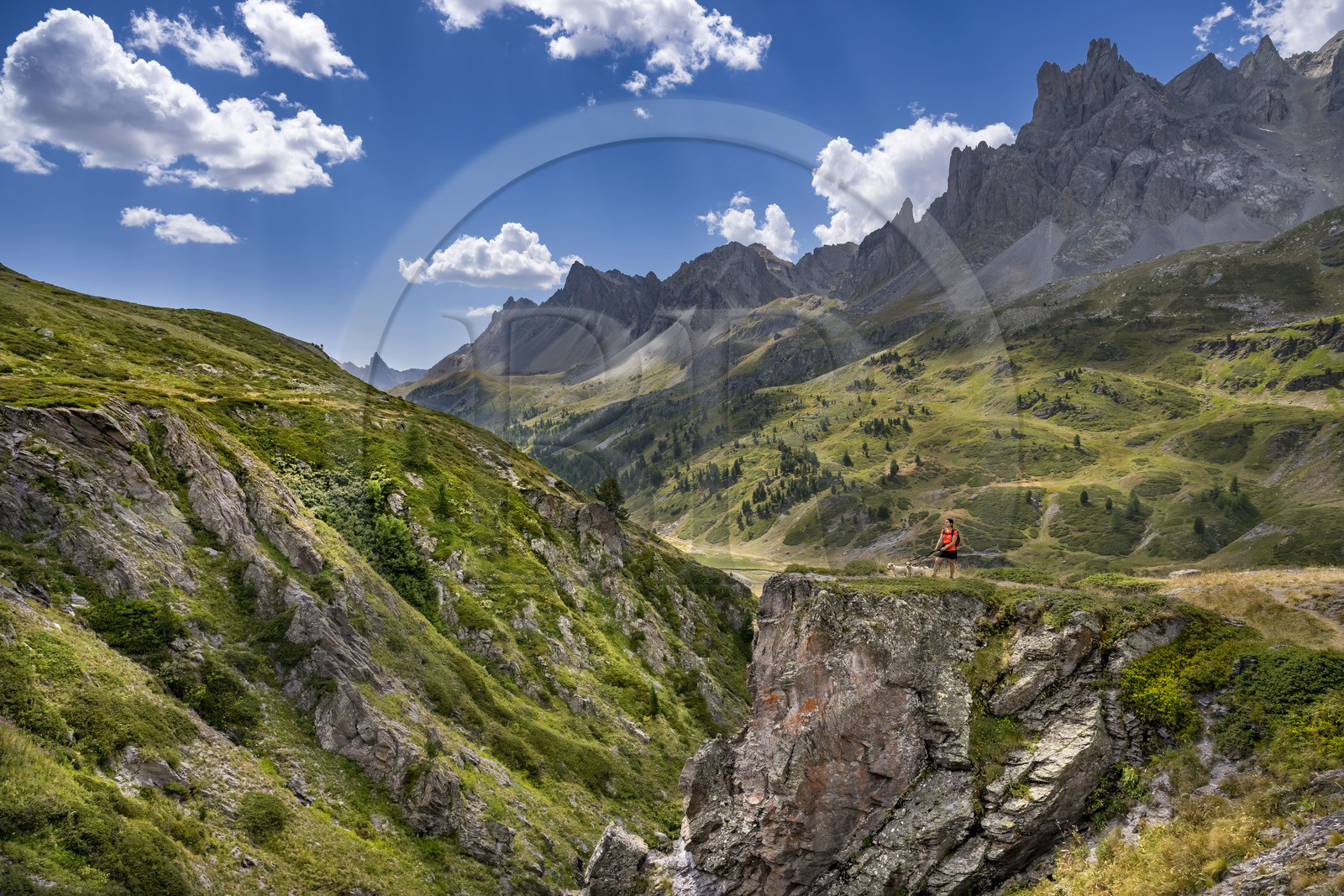 France, Hautes Alpes (05), le Briançonnais, Névache, randonneuse avec ses chiens dans la haute vallée de la Clarée, le massif des Cerces en arrière-plan