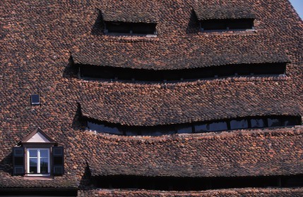 France, Bas Rhin, Wissenbourg, roof of the salt house (1448)