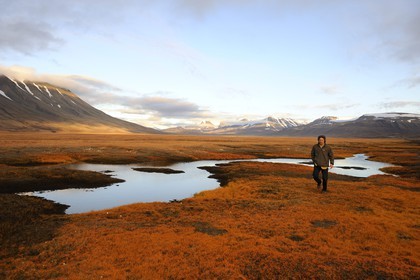 Norvège, Svalbard (Spitzberg), toundra dans la région de Longyearbyen