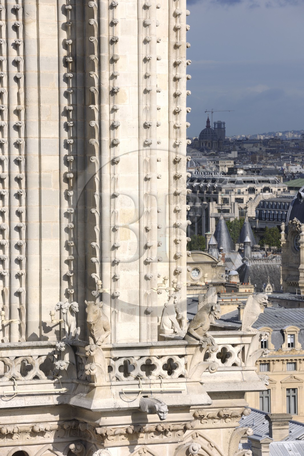 France, Paris (75), île de la Cité, la cathédrale Notre-Dame, les chimères observent la ville