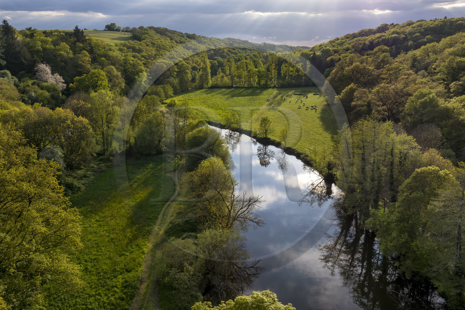 France, Vendée (85), Saint-Aubin-des-Ormeaux, la vallée de la Sèvre Nantaise (vue aérienne)