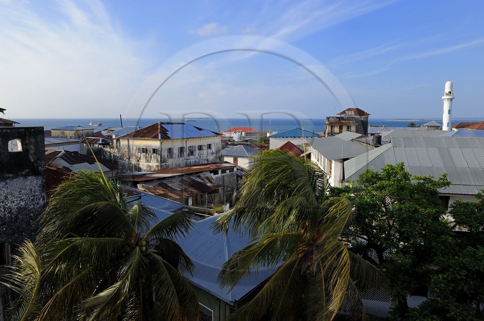 Tanzanie, archipel de Zanzibar, île de Unguja (Zanzibar), ville de Zanzibar, quartier Stone Town, classé Patrimoine Mondial de l' UNESCO, les toits du quartier de Baghani