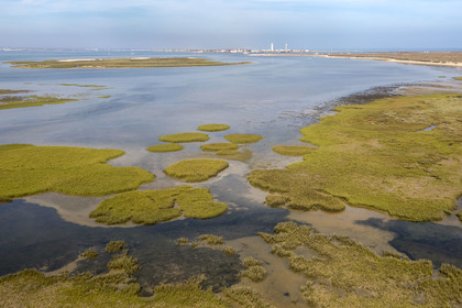 Portugal, Algarve, Parc naturel de la Ria Formosa, Faro, Ile de Barreta ou Deserta (Ilha da Barretta ou Deserta), le phare de Ilha do Farol sur Ilha da Culatra en arrière plan (vue aérienne)