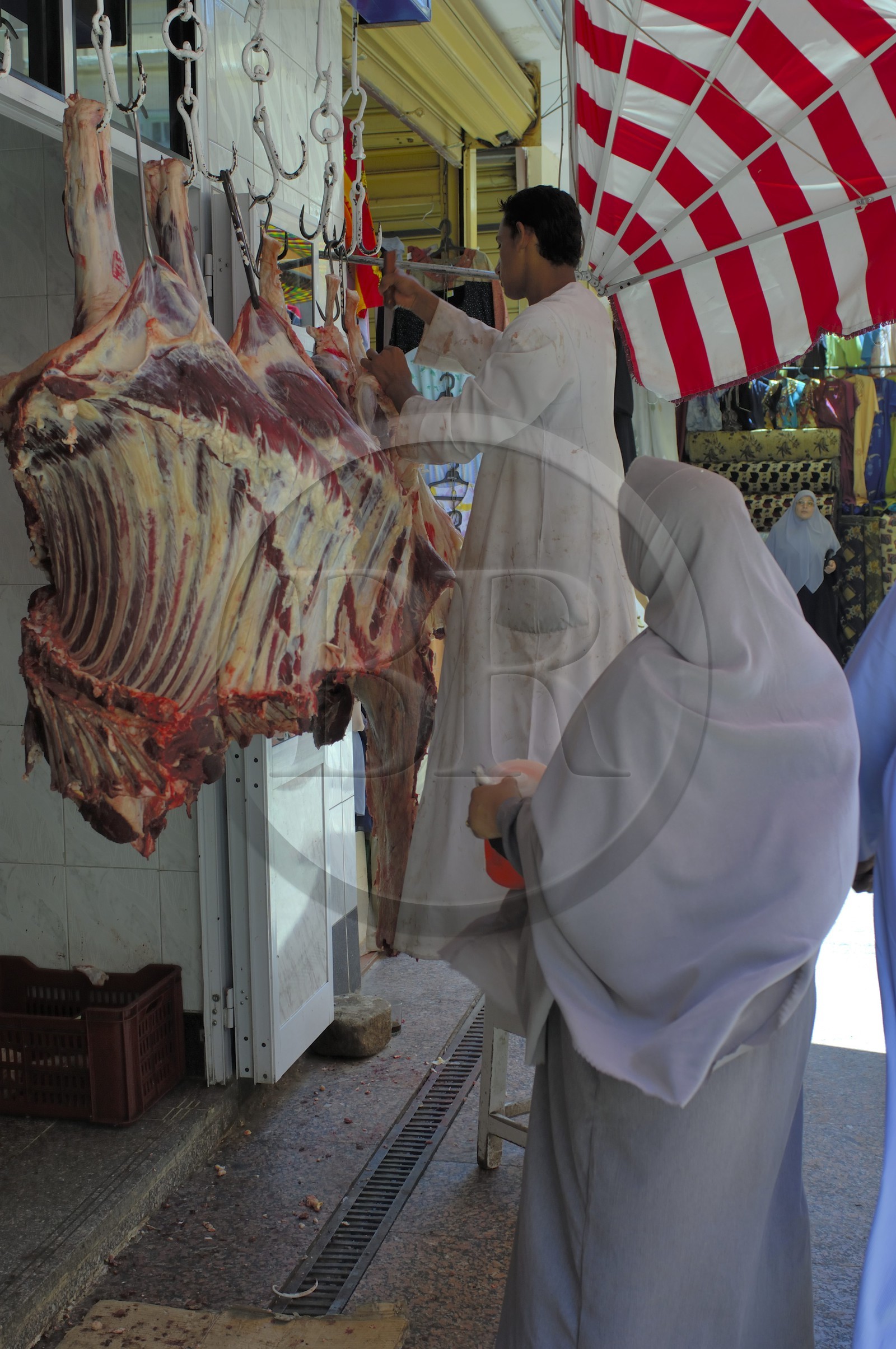 Egypte, Haute Egypte, Nubie, vallée du Nil, Assouan, le souk, boucherie