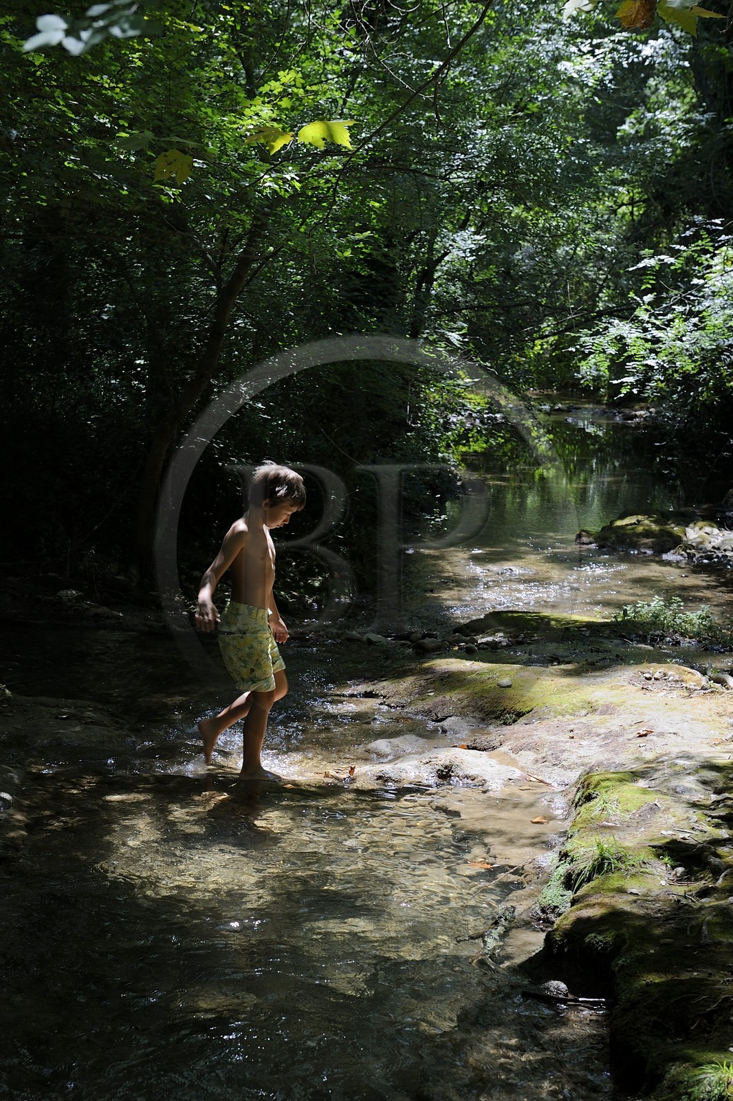 France, Var (83), Provence Verte, Tourves, rivière du Caramy dans les Gorges du Caramy