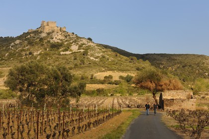 France, Aude, Cathar castle of Aguillar ruins overlooking Tuchan vineyard in the heart of Corbieres ..