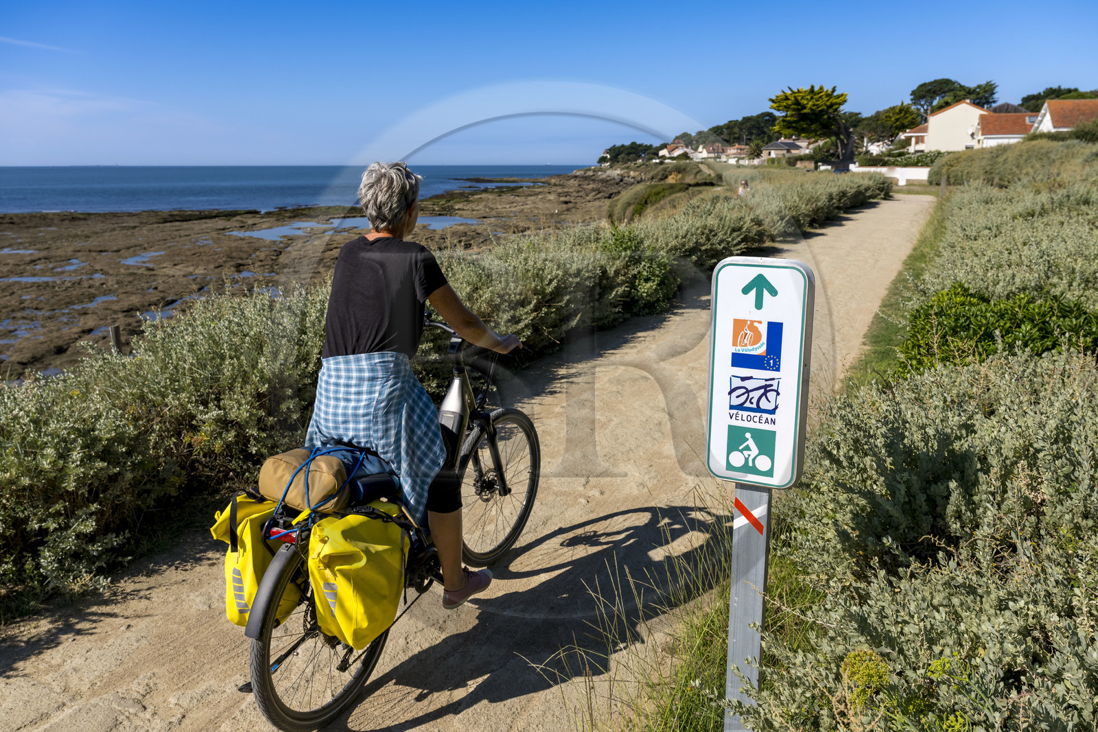 France, Loire-Atlantique (44), Préfailles, piste cyclable dédiée à la Vélodyssée longeant l'océan