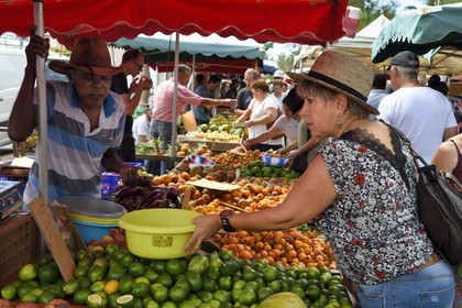 France, Ile de la Reunion, Saint-Pierre, le marché du samedi, les étals de fruits et légumes