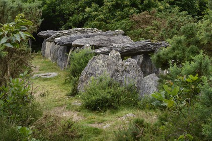 France, Ille-et-Vilaine (35), Saint-Just, monuments mégalithiques de la Lande de Cojoux, dolmen, sépulture à entrée latérale de Tréal
