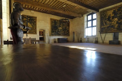 France, Indre et Loire, Loches, the castle, room at the Logis Royal