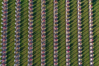 France, Meuse (55), Douaumont, bataille de Verdun, ossuaire de Douaumont, n