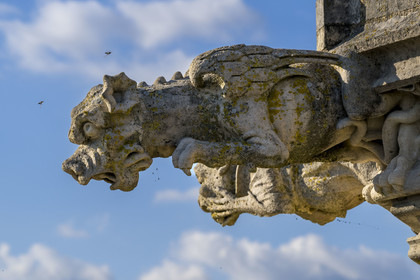 France, Nièvre, Nevers, Saint Cyr et Sainte Julitte cathedral, 16th century gargoyles at the top of the Cathedral Bohier tower
