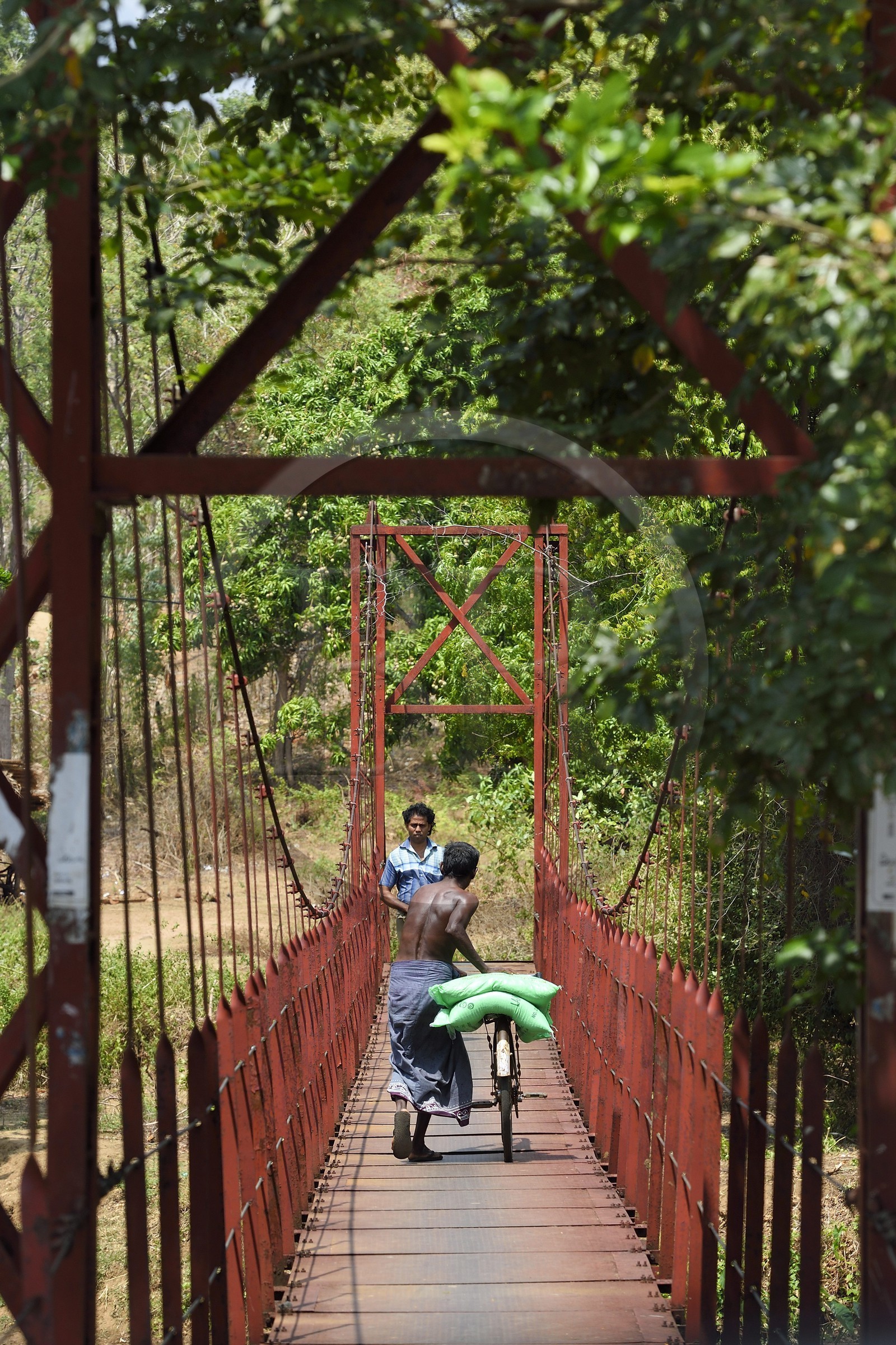 Sri Lanka, province du Centre-Nord, Diyabeduma, passerelle sur la rivière amban ganga