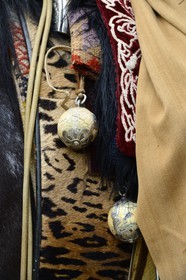 Argentine, province de Buenos Aires, San Antonio de Areco, fête du Jour de la Tradition (Dia de la Tradicion), les bolas (ou boleadoras) accrochés à la selle