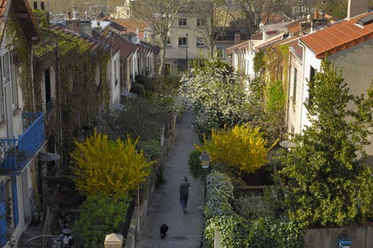 France, Paris, La Campagne a Paris, the Mouzaia District, houses with gardens in the heart of the city