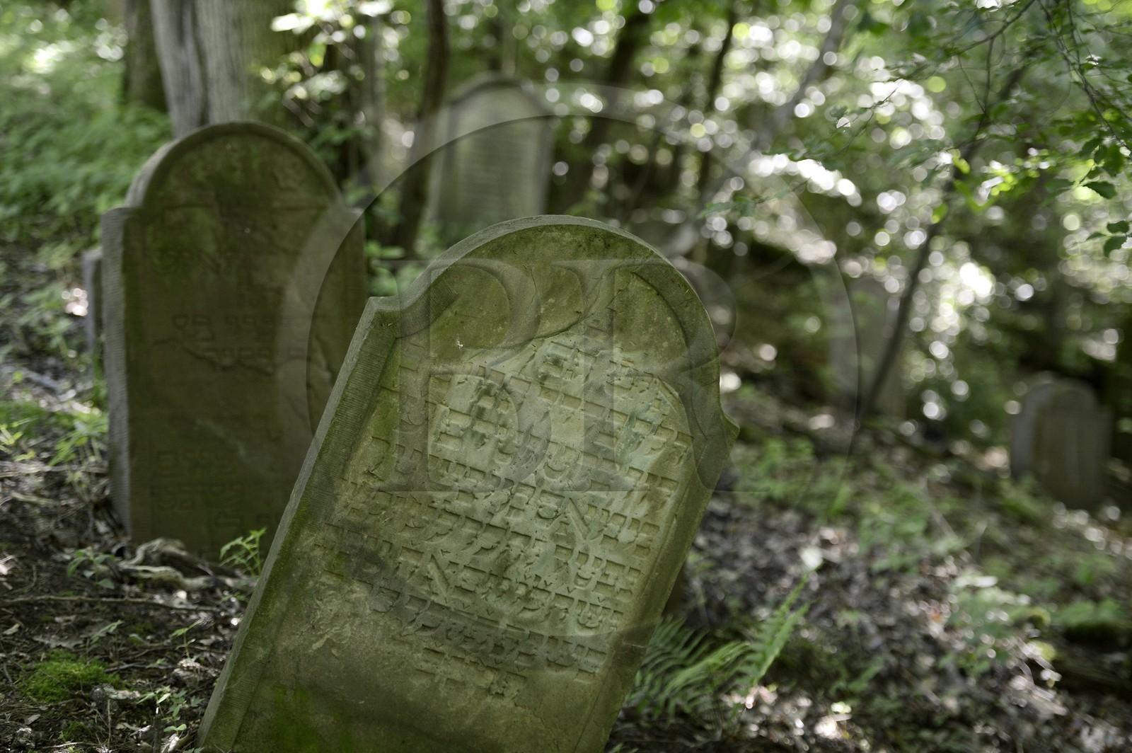 France, Bas-Rhin (67), Saverne, ancien cimetière juif