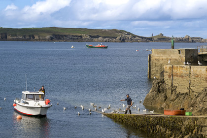 France, Finistère (29), Mer d'Iroise, Ile d'Ouessant, le port de Lampaul dans la baie de Lampaul,  la presqu'ile de Feunteun Velen en arrière plan