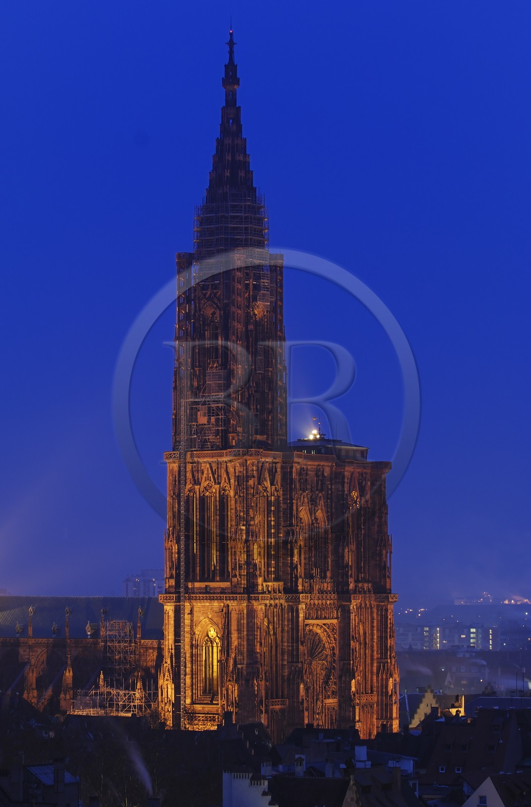 France, Bas Rhin (67), Strasbourg, la cathedrale a Noel