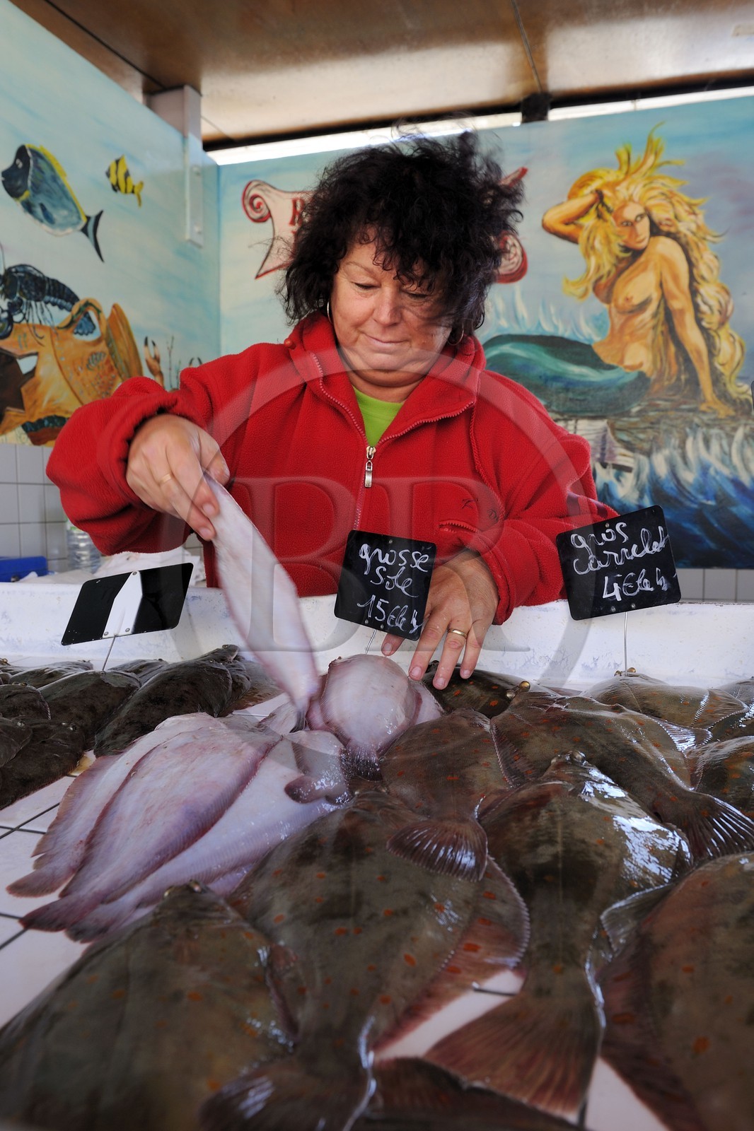 France, Seine-Maritime (76), Le Havre, port de pêche, marché aux poissons pratiquant la vente directe France, Seine-Maritime (76), Le Havre, port de pêche, marché aux poissons pratiquant la vente directe