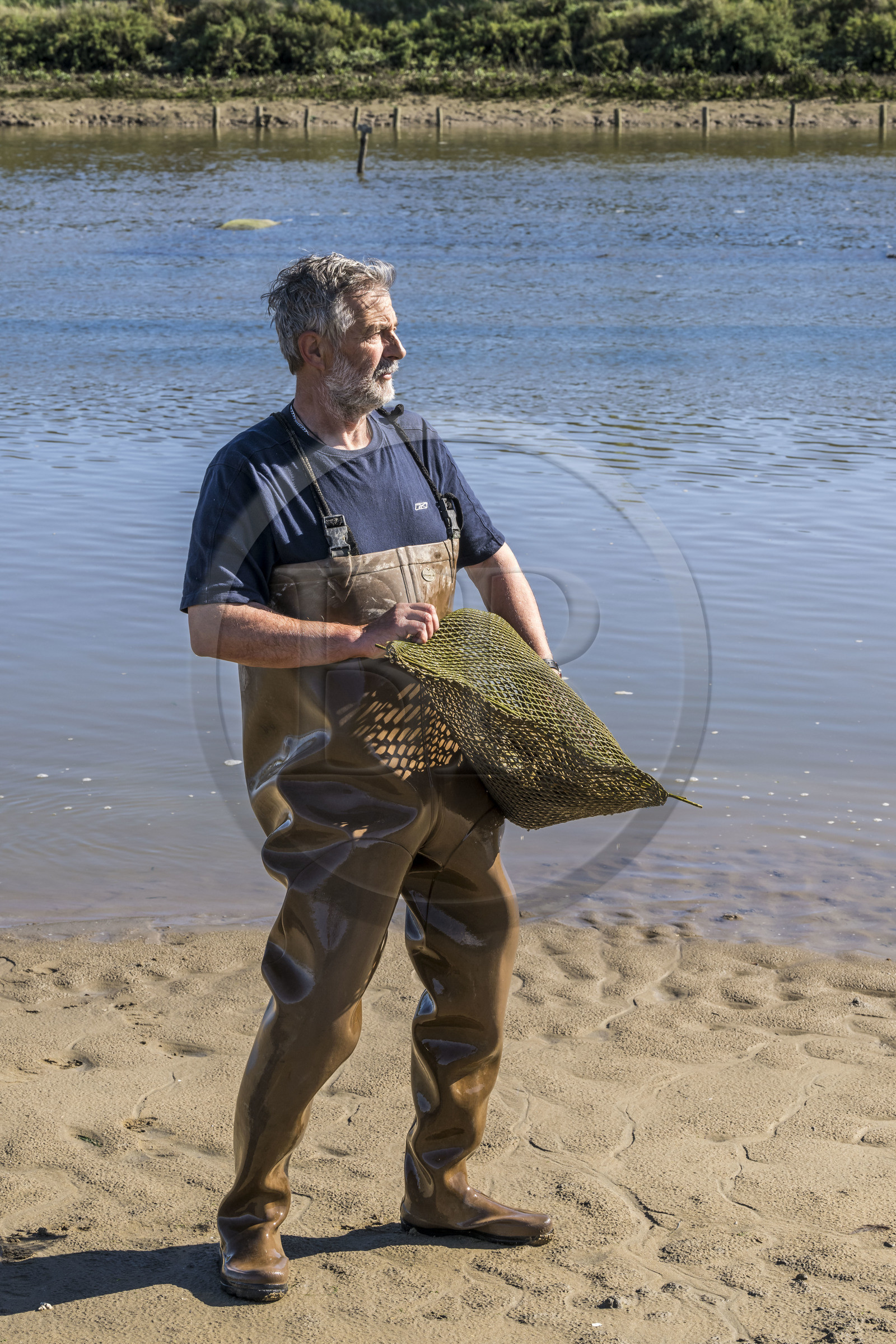 France, Vendée (85), Talmont-Saint-Hilaire, port du village d'ostréiculteurs de la Guittière dans l'estuaire du Payré, l'ostréiculteur Patrick Guyau