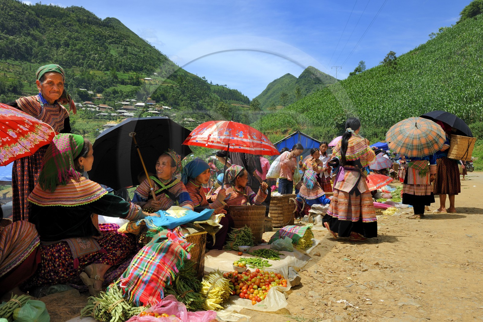 Vietnam, province de Lao Cai, région de Bac Ha, marché de Can Cau, femmes de la minorité Hmong Fleur