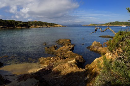 France, Var (83), Iles d'Hyères, parc national de Port Cros, Ile de Port-Cros, plage du Sud