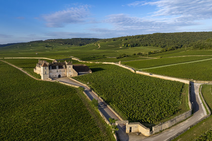 France, Cote d'Or, cultural Landscape of the climates of Burgundy listed as World Heritage by UNESCO, Route des Grands Crus (road of Vintage Wines), vineyard of the Côte de Nuits, Vougeot, the Chateau of Clos de Vougeot surrounded by vineyards (aerial view)
