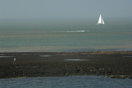 France, Charente-Maritime (17), Ile d'Aix, rade des Basques à marée basse
