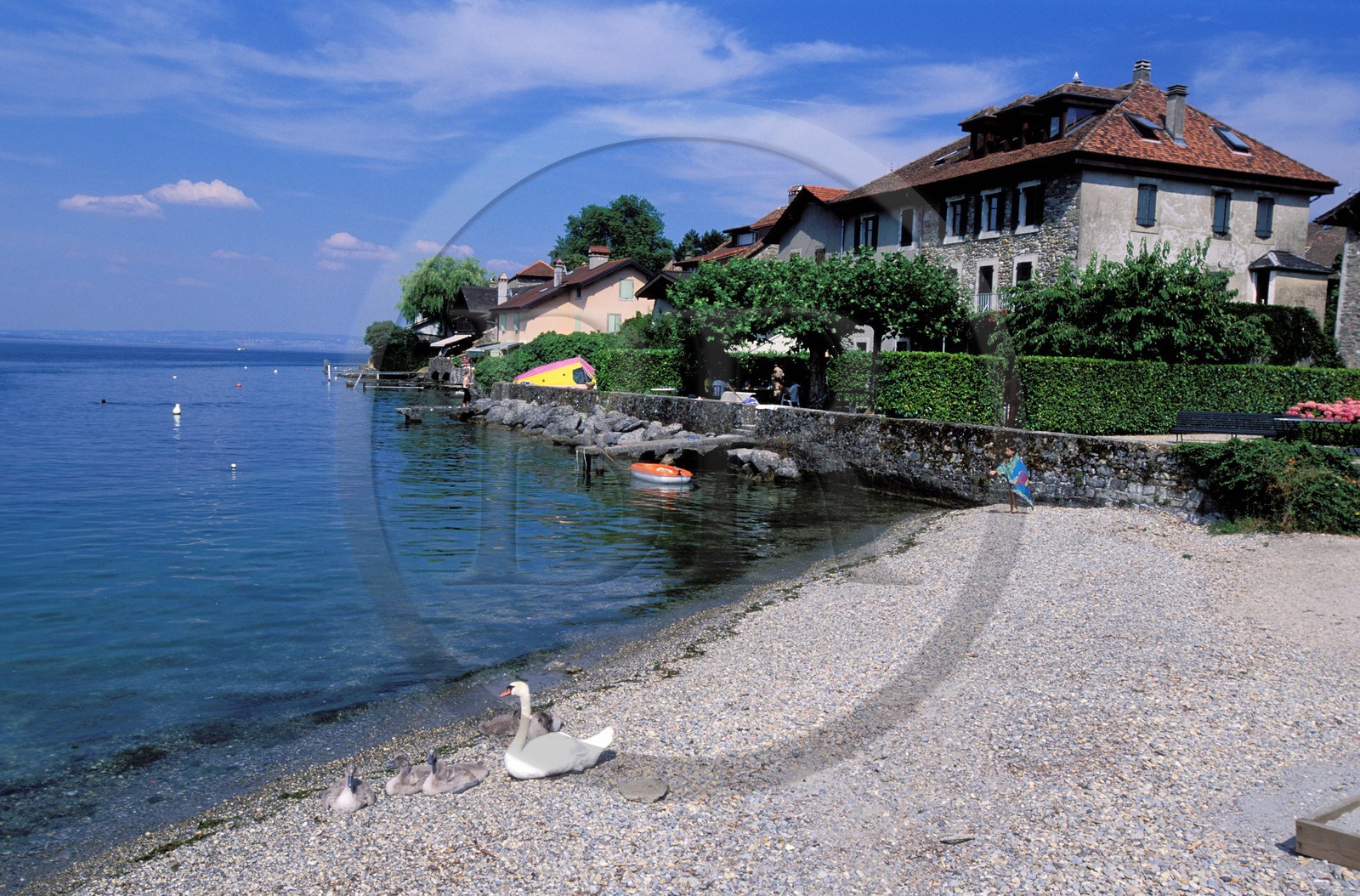 France, Haute-Savoie (74), le village de Messery au bord du lac Léman
