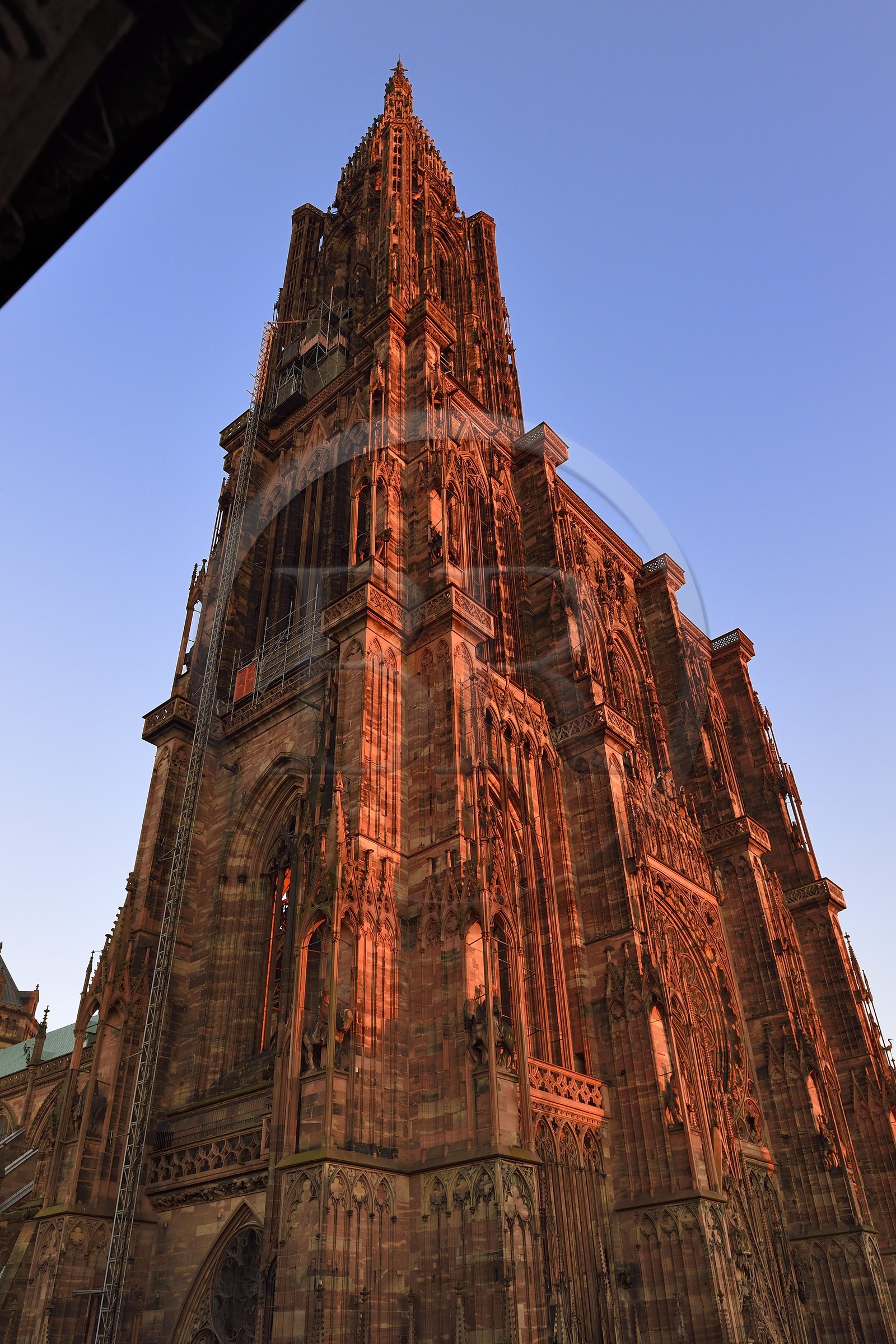 France, Bas-Rhin (67), Strasbourg, vieille ville classée au Patrimoine Mondial de l'UNESCO, la Cathédrale Notre Dame
