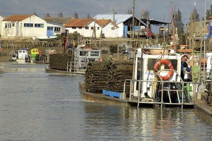 France, Charente-Maritime (17), Ile d'Oléron, le chenal d'Ors, chaland à huîtres dans le port ostréicole
