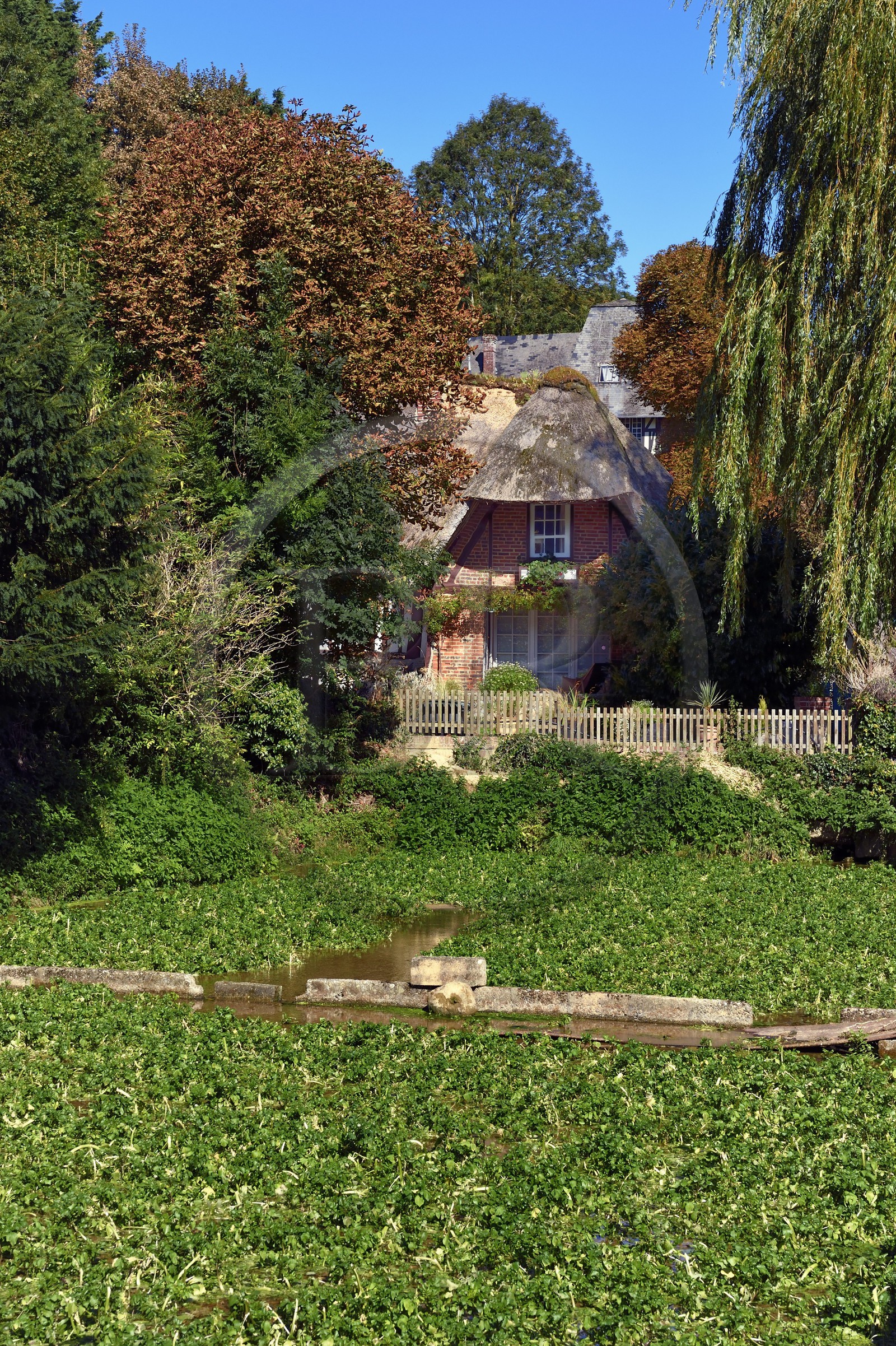 France, Seine-Maritime (76), Côte d'Albatre, Pays de Caux, Veules-les-Roses, labellisé Les Plus Beaux Villages de France, cressonnières arrosées par la Veules fleuve célèbre pour la faible longueur de son cours (1 100 m)