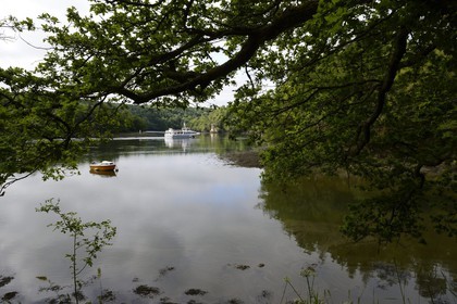 France, Finistere, Quimper region, Plomelin, the Odet river, the Cale de Rosulien, rock from the Saut de la Pucelle in the Vire-Court