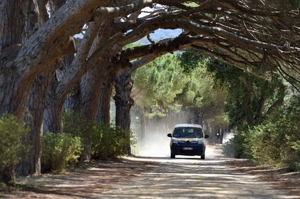 France, Var (83), Iles d'Hyères, parc national de Port Cros, Ile de Porquerolles, tournée de la factrice de La Poste Christine Frissong dans sa voiture électrique sur les pistes de l'Ile