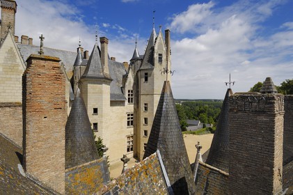France, Maine et Loire (49), château de Montreuil-Bellay