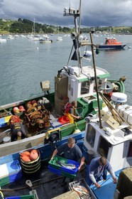France, Finistere, Plougasnou,  trawlers returning from fishing in the port of Diben