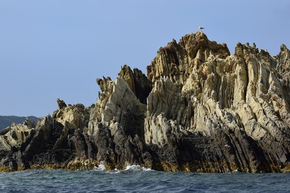 France, Var (83), Iles d'Hyères, parc national de Port Cros, Ile de Port-Cros, l'Ile de Bagaud qui est une réserve intégrale, roches métamorphiques anciennes de gneiss et de micaschistes