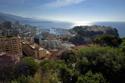 Principality of Monaco, Monaco, the Exotic Garden with a huge variety of Succulent plant species, the Rock in the background